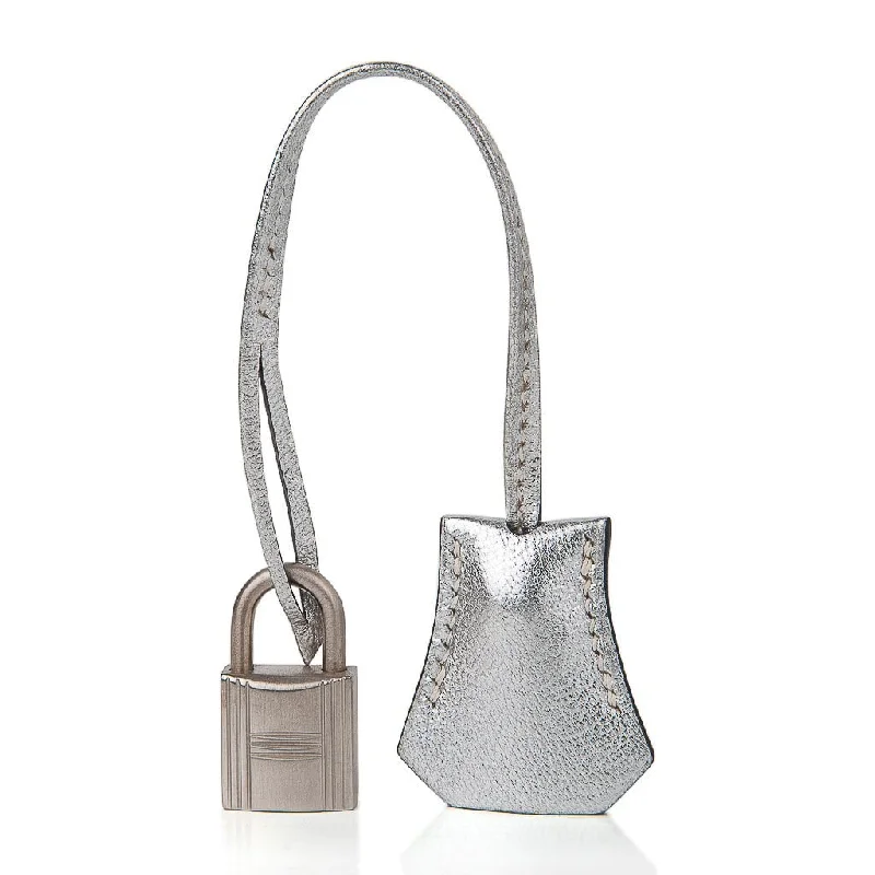 Hermes Birkin Bags in Exotic Python Leather for a Unique LookHermes Birkin 25 Bag Metallic Silver Chevre with Brushed Palladium Hardware